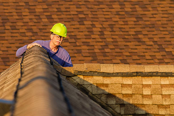 Best Roof Gutter Cleaning  in Inverness Highlands South, FL